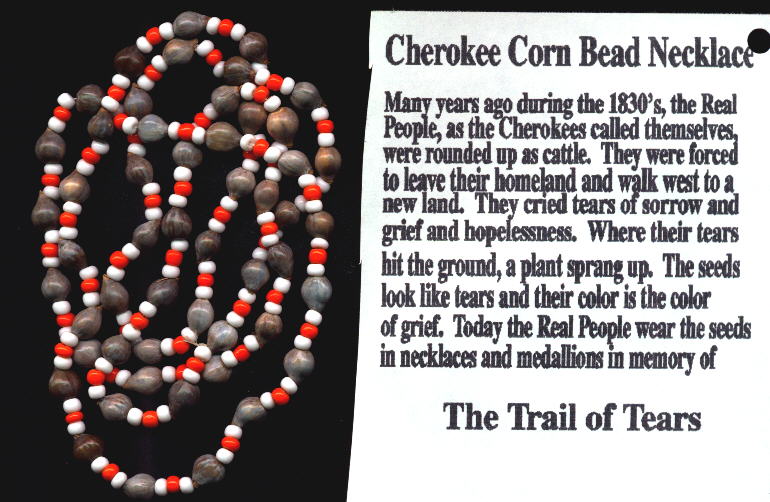 130 pcs Assorted Bone Beads - Native American-Indian Bone Hairpipe